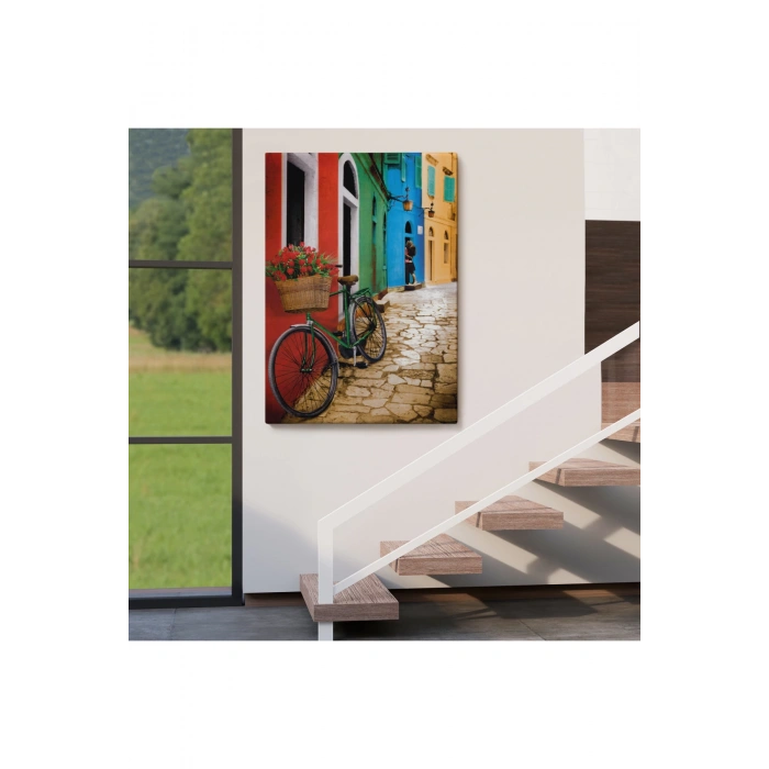 Sokaktaki Çiçekli Bisiklet Duvar Tablosu-6453