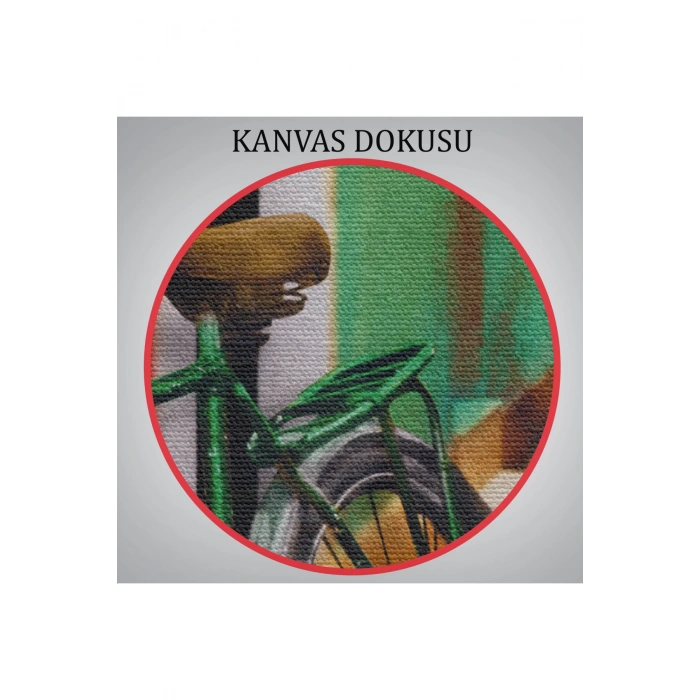 Sokaktaki Çiçekli Bisiklet Duvar Tablosu-6453