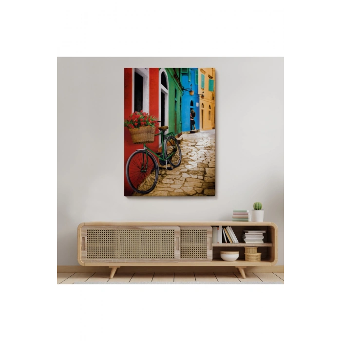 Sokaktaki Çiçekli Bisiklet Duvar Tablosu-6453
