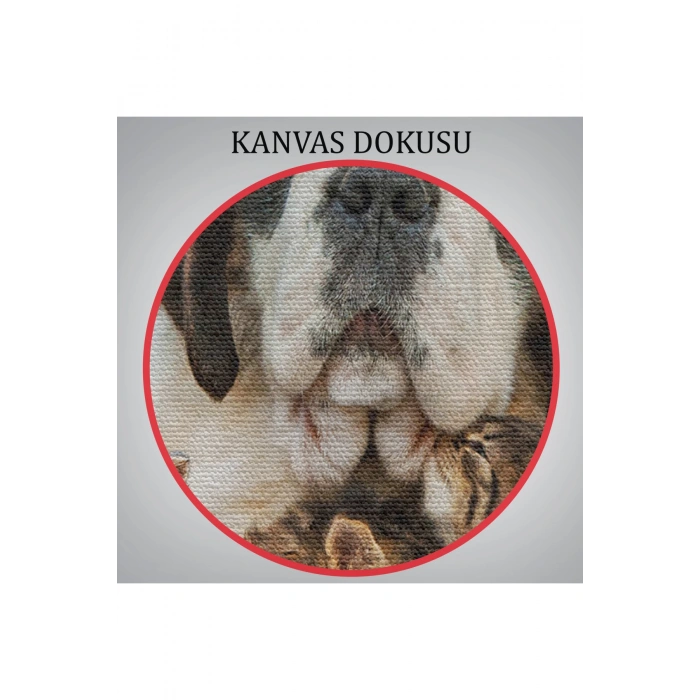 St. Bernard  Köpek ve Yavru Kediler Dekoratif Kanvas Tablo 1124