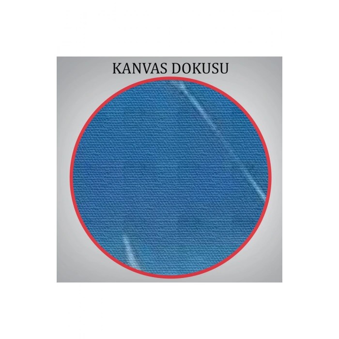 Su Altında Köpek Balığı Gezdiren Kadın Tablosu-6482