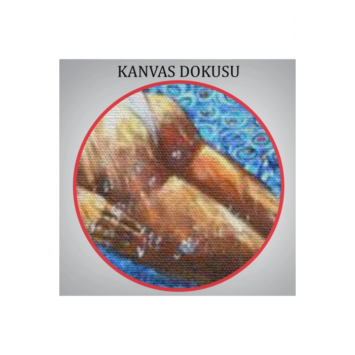 Su Altında Yüzen Kız Duvar Tablosu-6334