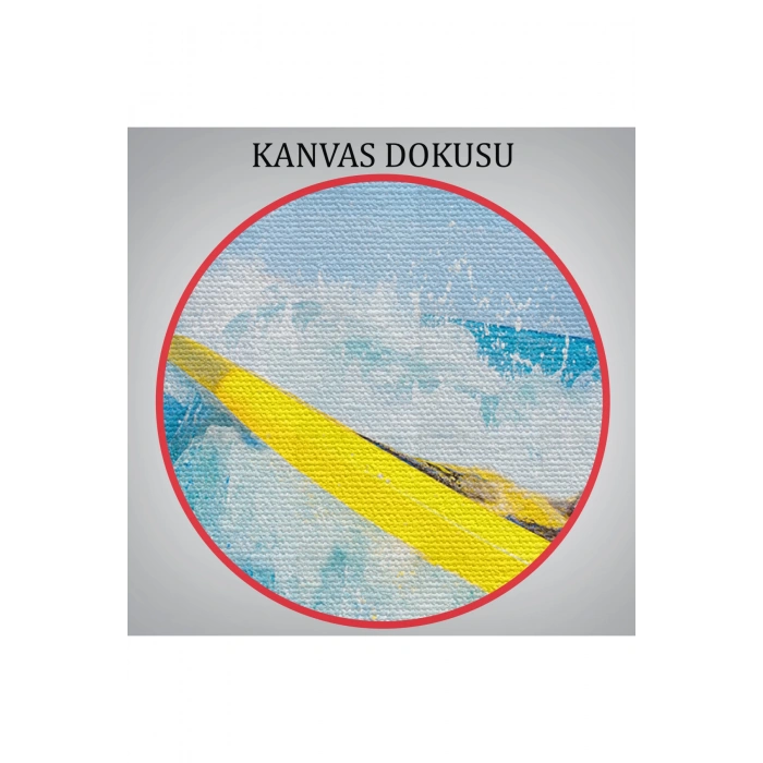 Su Kayağı Yapan Köpek  Dekoratif Kanvas Tablo 1155