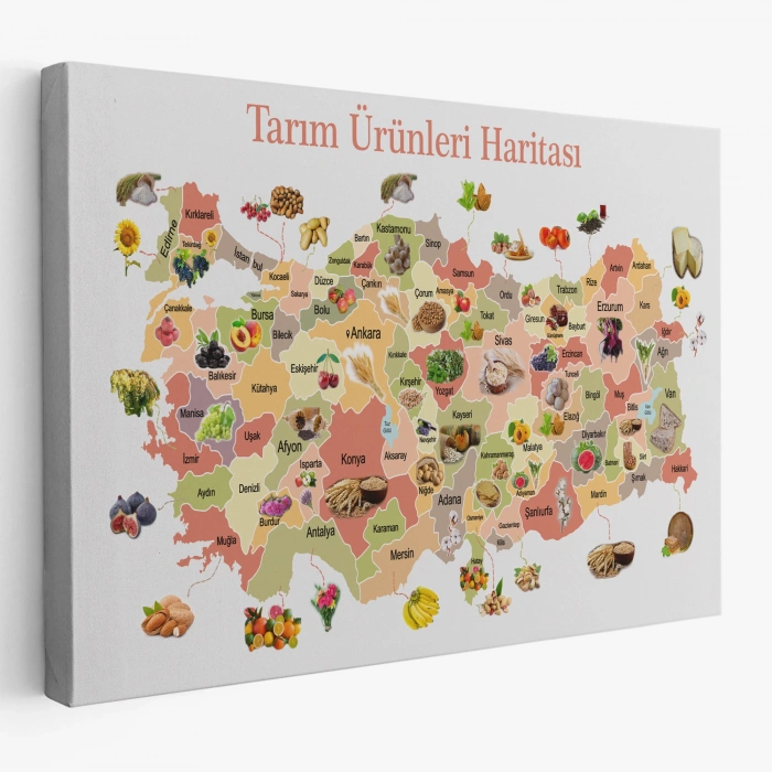Tarım Ürünleri Yerli Malı Haftası Türkiye Haritası 1046