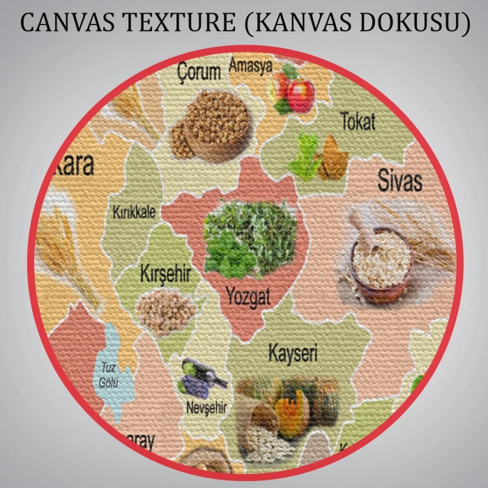 Tarım Ürünleri Yerli Malı Haftası Türkiye Haritası 1046