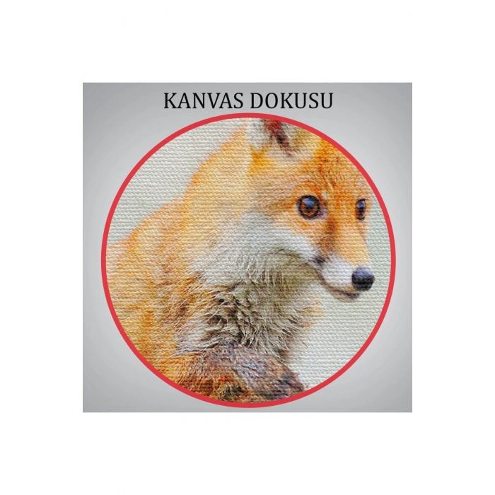 Tilki Dekoratif Kanvas Tablo 1165