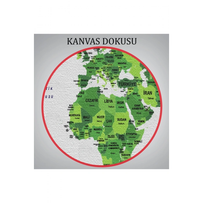 Türkçe Dünya Haritası Dekoratif Kanvas Tablo Ülke ve Başkentli 1510