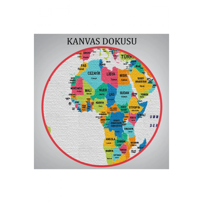 Türkçe Dünya Haritası Kanvas Tablo Ülke Bayraklı ve Dekoratif 2394