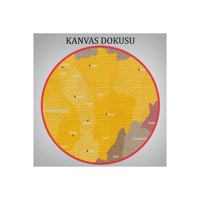 Türkiye Bölgeler haritası Dekoratif Kanvas Tablo 1004