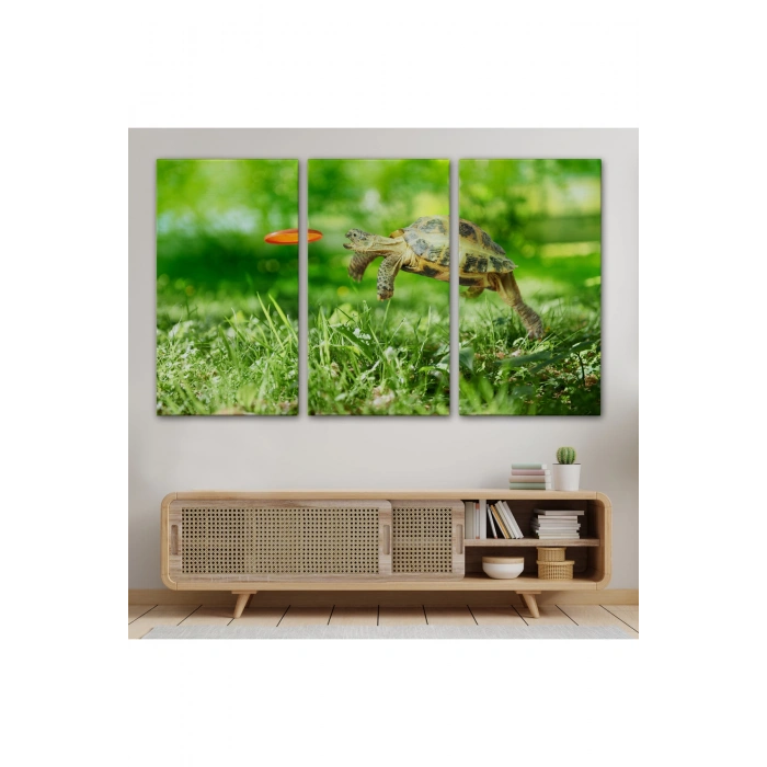 Uçan Kaplunbağa Dekoratif Kanvas Tablo 1122