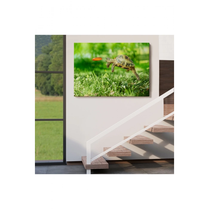 Uçan Kaplunbağa Dekoratif Kanvas Tablo 1122