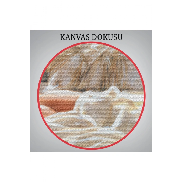 Yataktaki Güzel Kadın Dekoratif Duvar Tablosu-6607