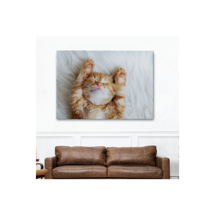 Yavru Kedi Dekoratif Kanvas Tablo 1125
