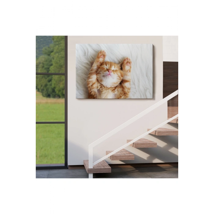 Yavru Kedi Dekoratif Kanvas Tablo 1125