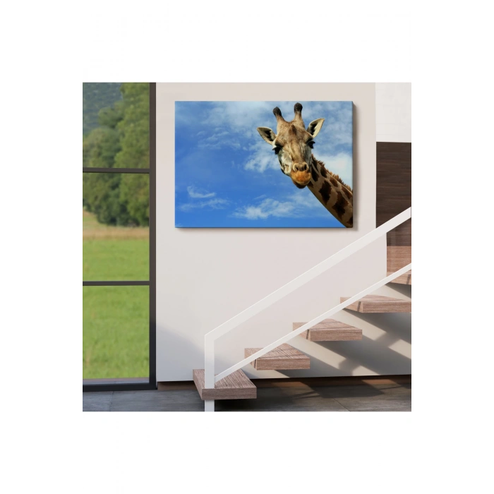 Zürafa Dekoratif Kanvas Tablo 1116