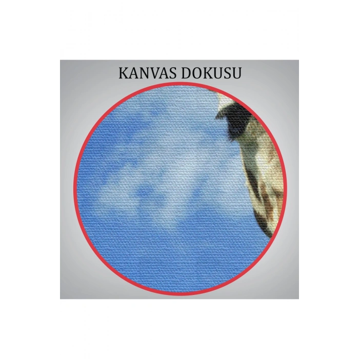 Zürafa Dekoratif Kanvas Tablo 1116