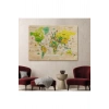 Ahşap Görünümlü Türkçe Dünya Haritası Sembollü Eğitici Kanvas Tablo 2947