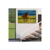 At ve Tay Manzaralı Dekoratif Kanvas Tablo 1173