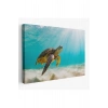 Caretta Caretta Dekoratif Kanvas Tablo 1174