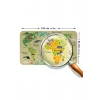Eğitici Dünya Haritası Dünya Atlası Çocuk ve Bebek Odası Duvar Sticker-60x105-3772