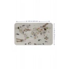 Eğitici Dünya Haritası Dünya Atlası Çocuk ve Bebek Odası Duvar Sticker-60x105-3797