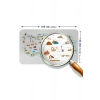 Eğitici - Öğretici Dünya ve Türkiye Haritası Çocuk Odası Duvar Sticker-60x105-3884