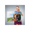 Köpek Dekoratif Kanvas Tablo 1130