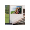 Köpek Dekoratif Kanvas Tablo 1130