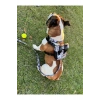 Köpek Sırt Çantası + Tasma Seti