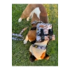 Köpek Sırt Çantası + Tasma Seti