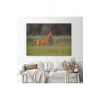 Koşan Geyik Dekoratif Kanvas Tablo 1170