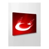 Led Işıklı Türk Bayrağı (en güzel bayrak)