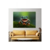 Renkli Gülen Kurbağa Dekoratif Kanvas Tablo 1149