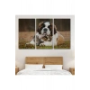 St. Bernard  Köpek ve Yavru Kediler Dekoratif Kanvas Tablo 1124