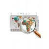 Türkçe Ülke Bayrak lı Eğitici Başkent Detaylı Atlası Dünya Haritası Duvar Sticker -60x105-3858