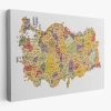 Türkiye Haritası Kanvas Tablo İl ve İlçeli Ayrıntılı Eğitici Dekoratif Tablo 3042