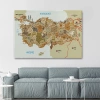 Türkiye Haritası Kanvas Tablo İl ve İlçeli Ayrıntılı Eğitici Komşulu Dekoratif Tablo 3020