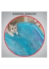 Dianne Dengein Kedi Sever Yaşlı Kadın Mutluluğun Resmi Tablosu-6383