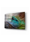 Iguana Cam Tablo