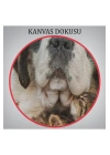 St. Bernard  Köpek ve Yavru Kediler Dekoratif Kanvas Tablo 1124