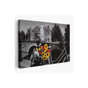 Amsterdam Kanallarındaki Bisiklet ve Laleler Tablosu-6594