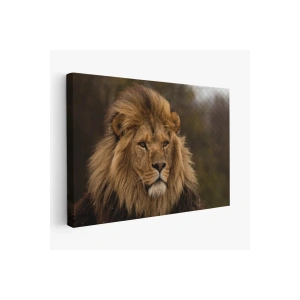 Aslan Dekoratif Kanvas Tablo 1159
