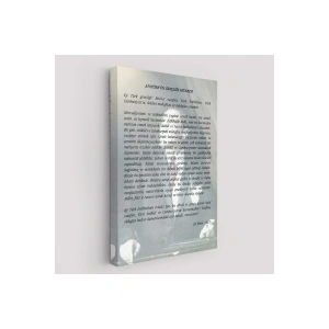 Atatürkün Gençliğe Hitabesi  Duvar Tablosu-6465