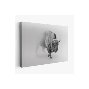 Bizon  Dekoratif Kanvas Tablo 1160
