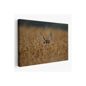 Ceylan Dekoratif Kanvas Tablo 1145