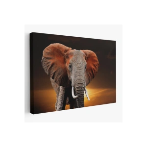 Fil Dekoratif Kanvas Tablo 1167