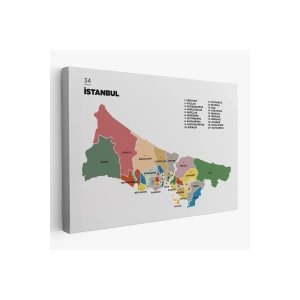 İstanbul  İli ve İlçeler Haritası  Dekoratif Kanvas Tablo 1365