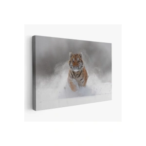 Karda Koşan Yavru Kaplan Dekoratif Kanvas Tablo 1135