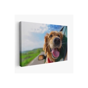 Köpek Dekoratif Kanvas Tablo 1130