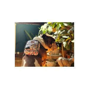 Köpek Sırt Çantası